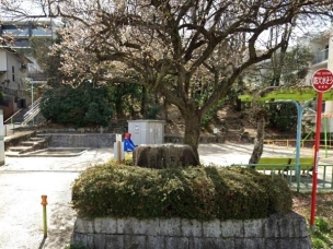 【公園】鶯谷公園 642m 周辺環境