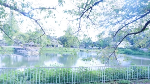 【公園】隼人池公園 341m 周辺環境